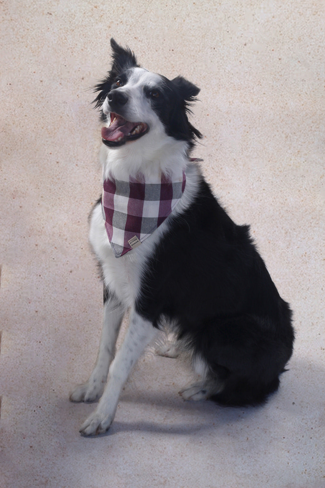 Bandana de Cuadros Ciruela