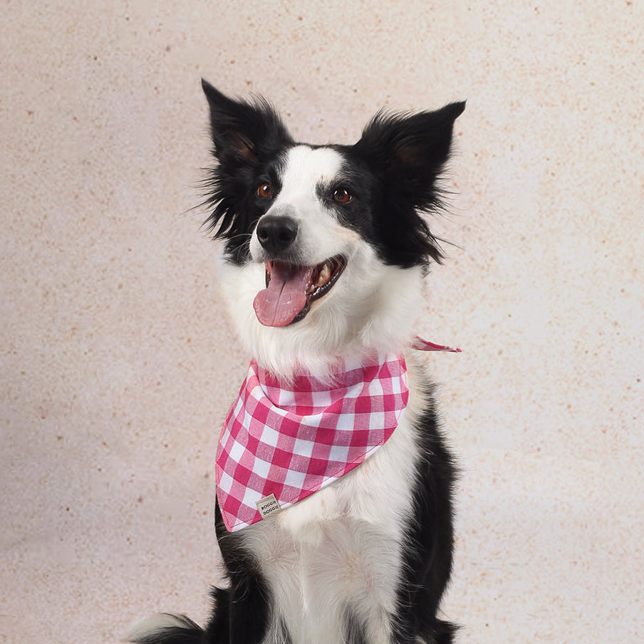 Bandana de Cuadros Peonia