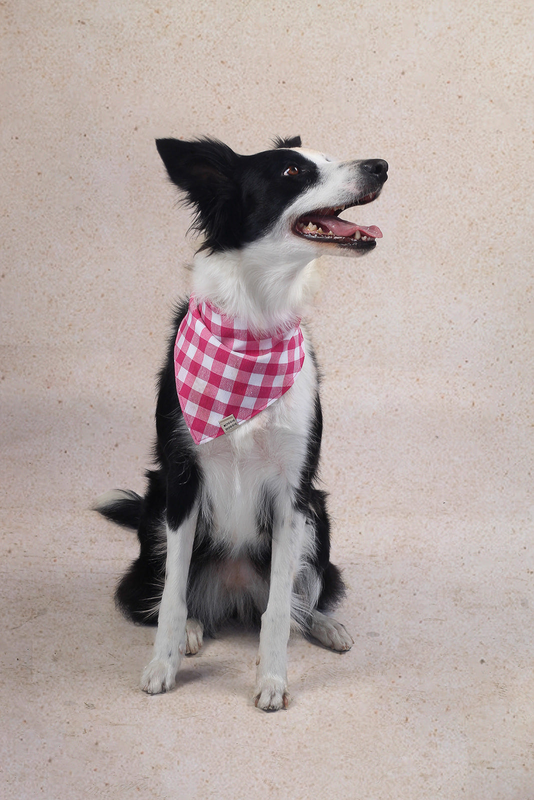 Bandana de Cuadros Peonia