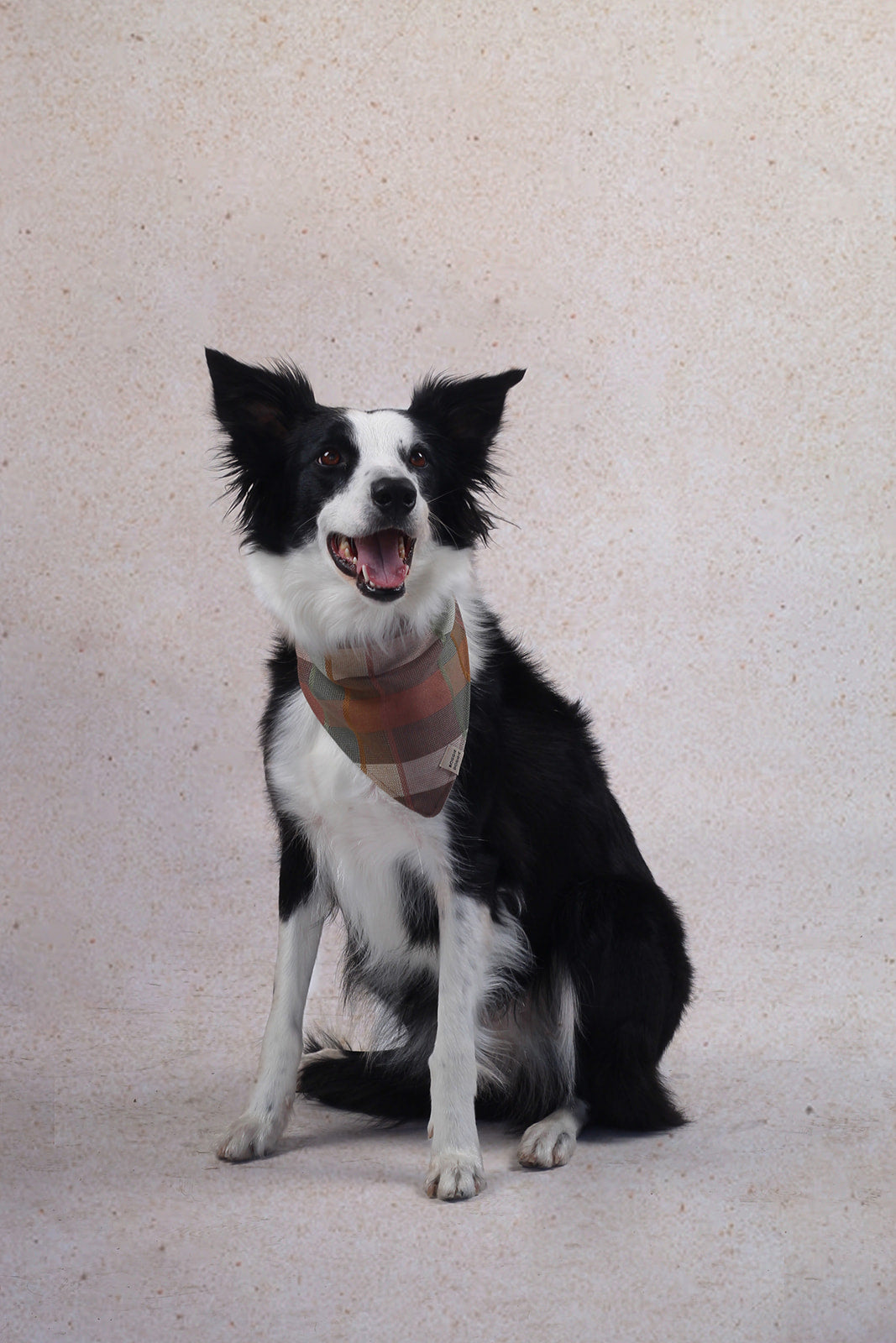 Bandana de Cuadros Desierto