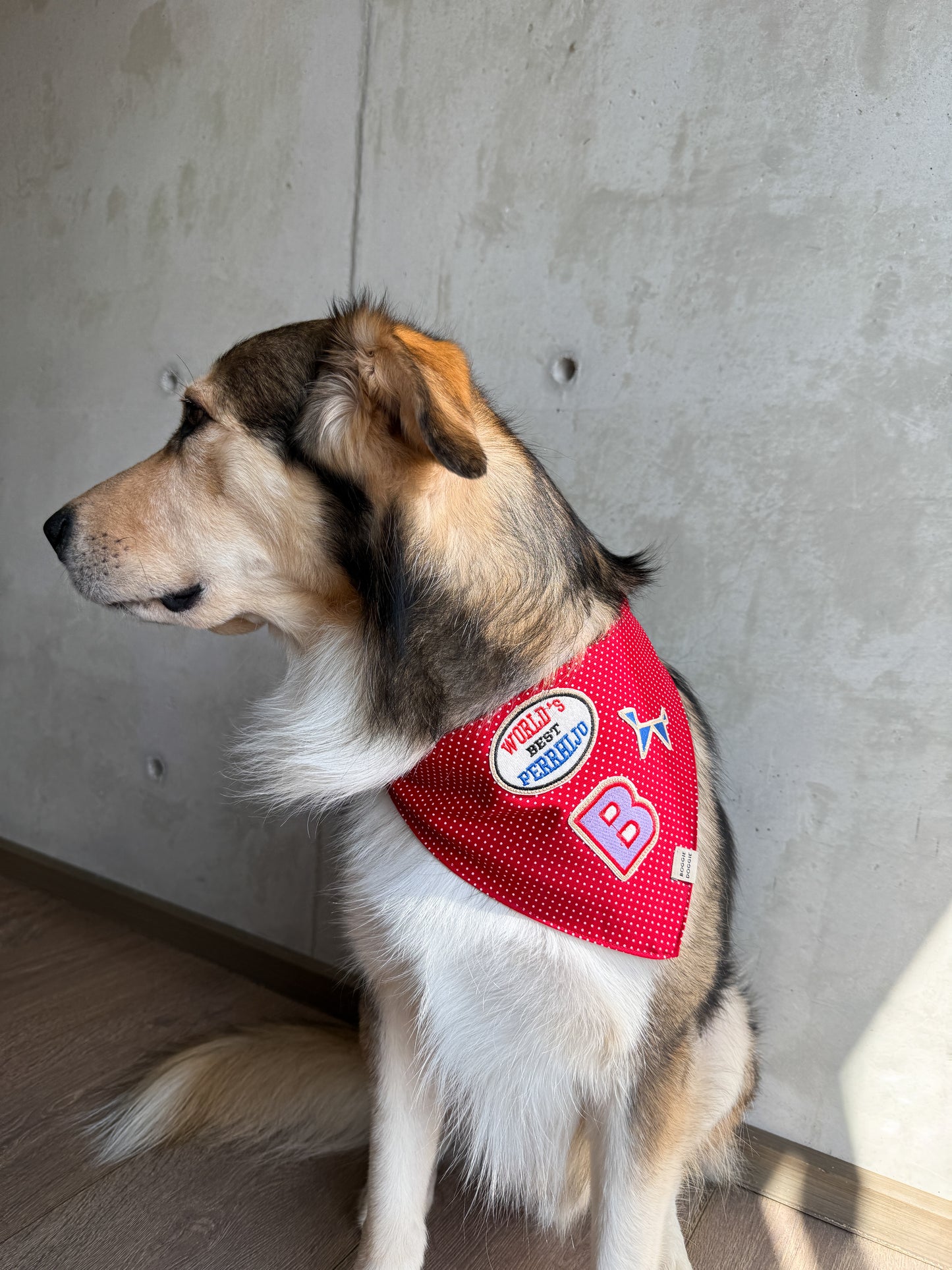 Parche Professional Football Fetcher