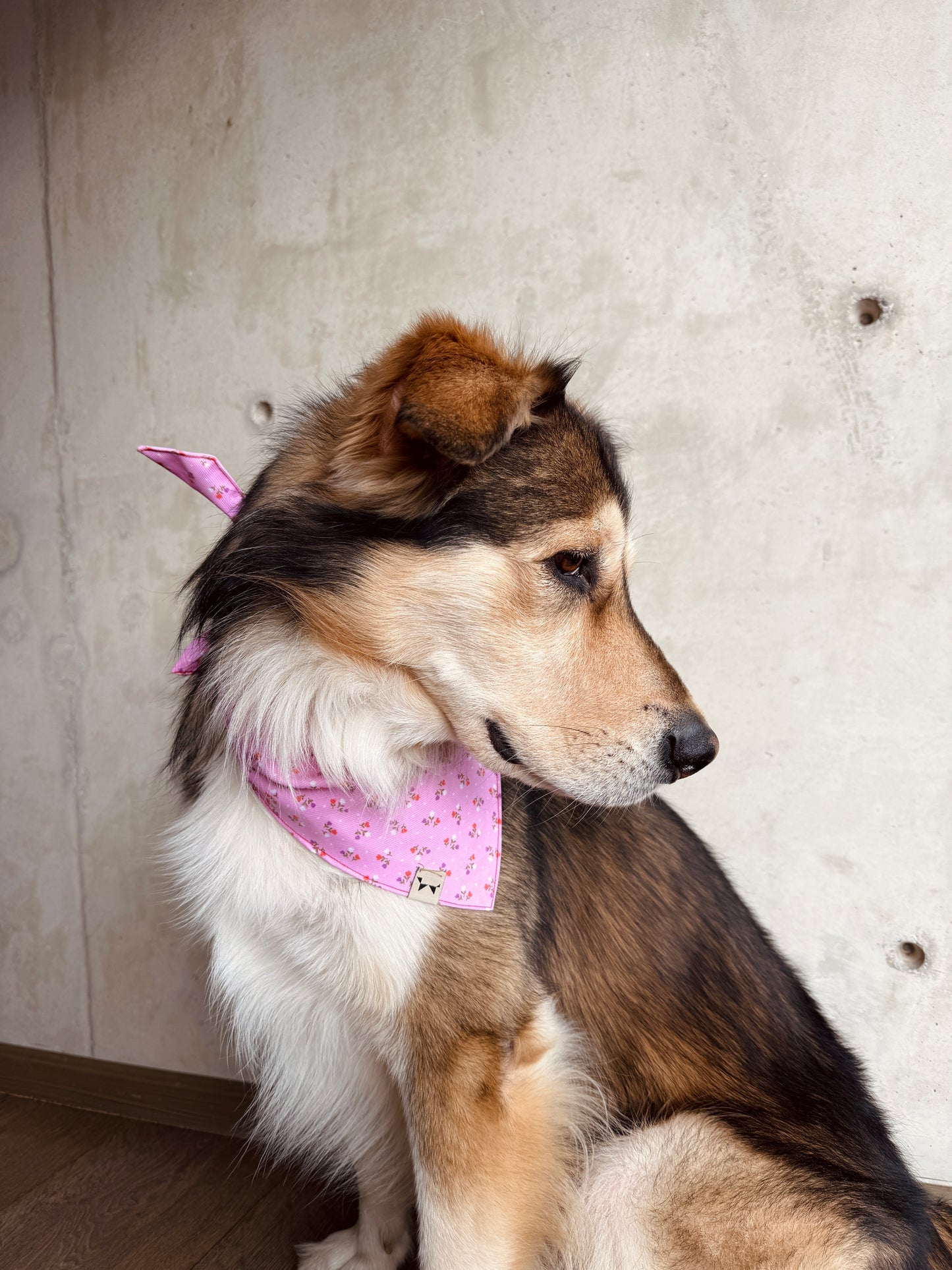 Bandana Rosa de Flores