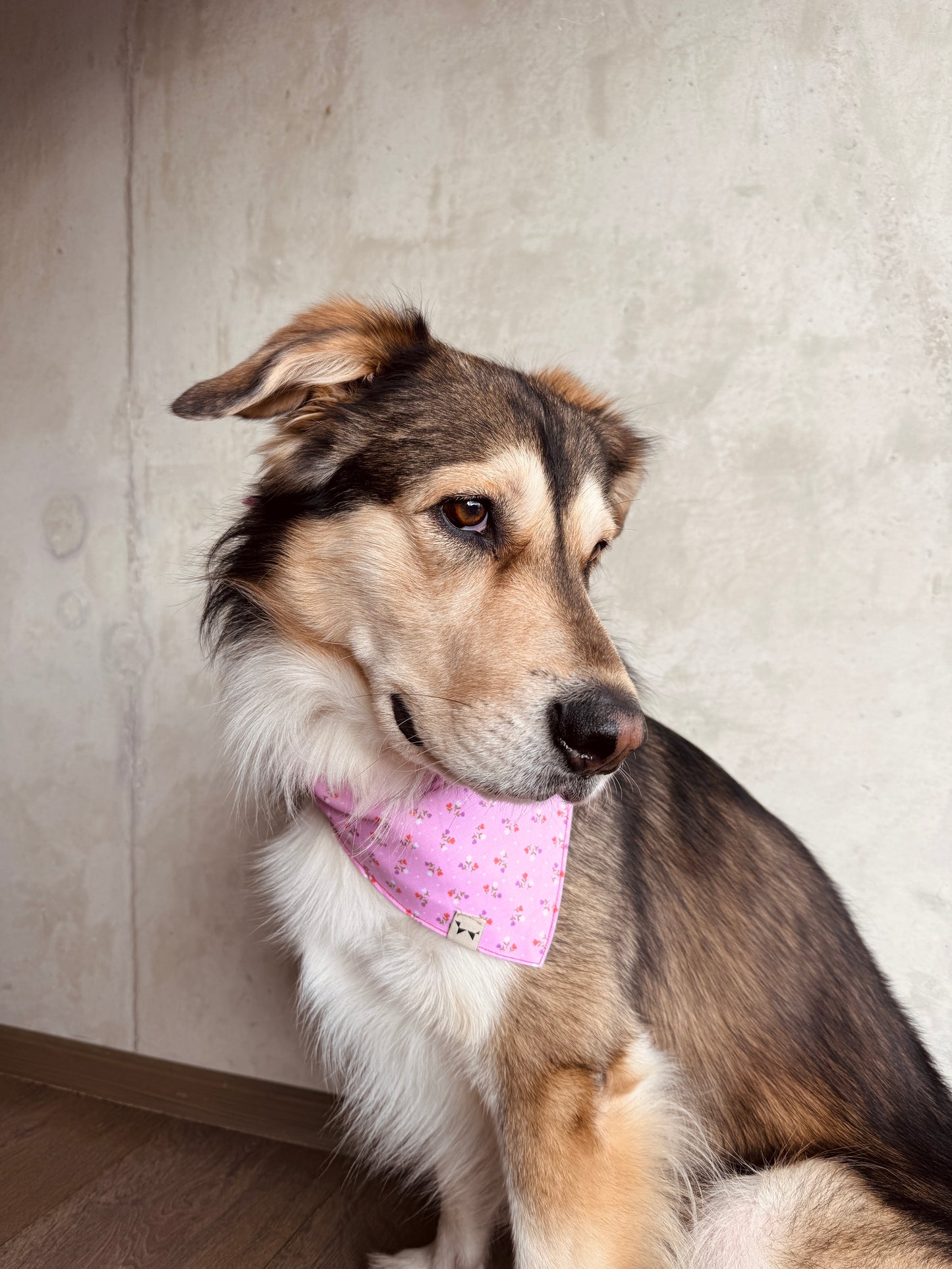 Bandana Rosa de Flores