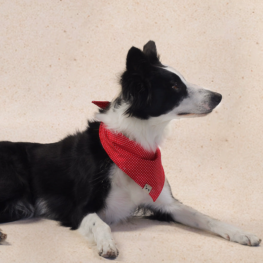 Bandana Roja con Lunares
