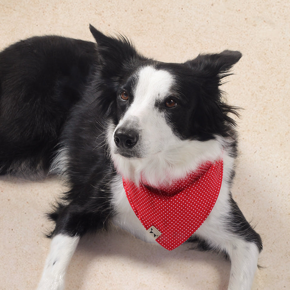 Bandana Roja con Lunares