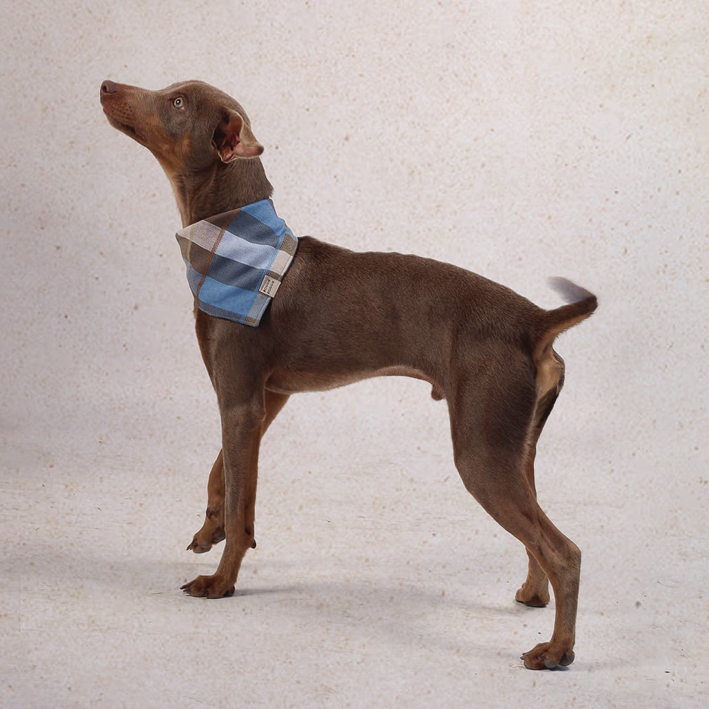 Bandana de cuadros Tierra y agua