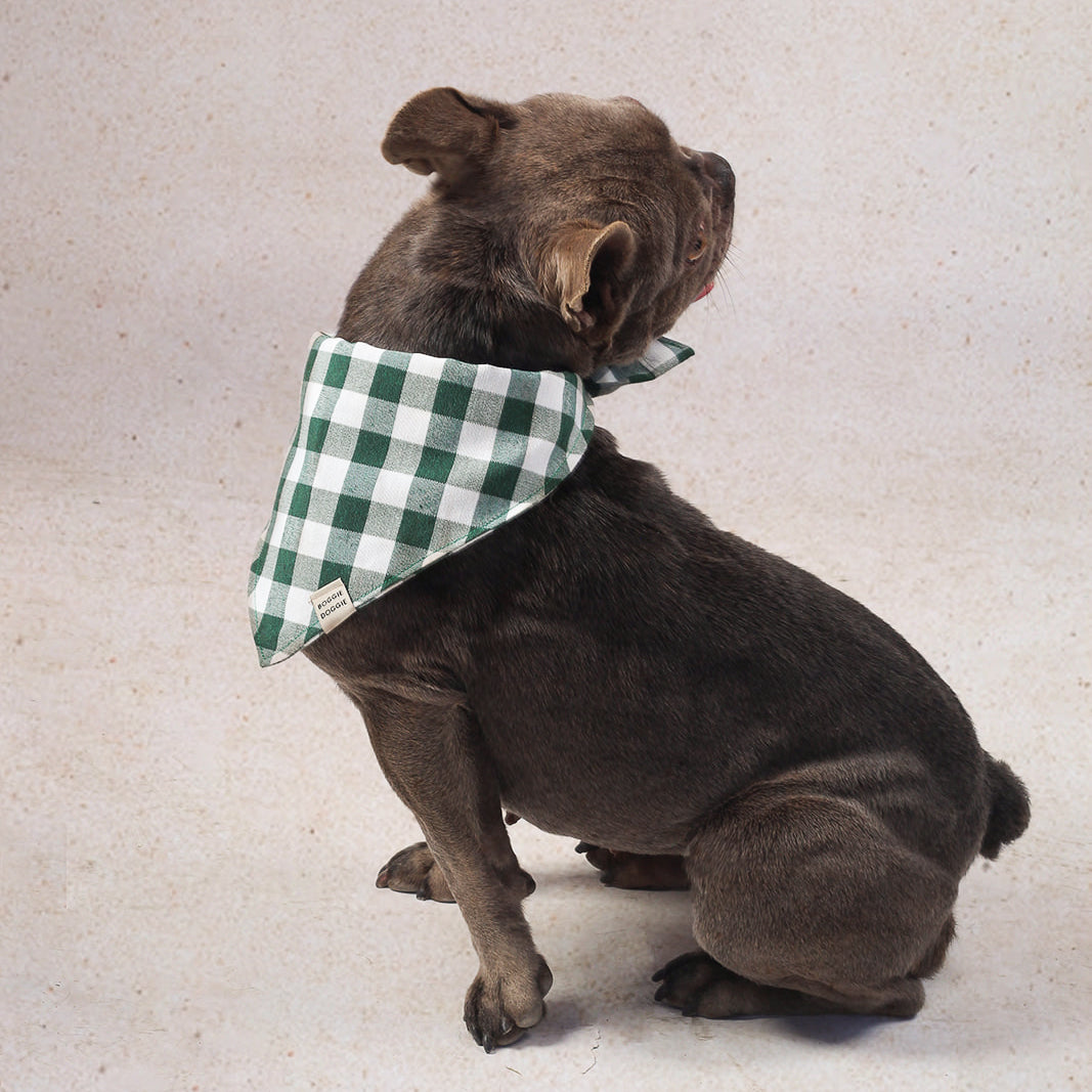 Bandana de cuadros Verde Bosque