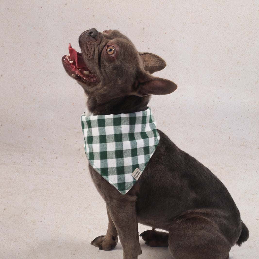 Bandana de cuadros Verde Bosque