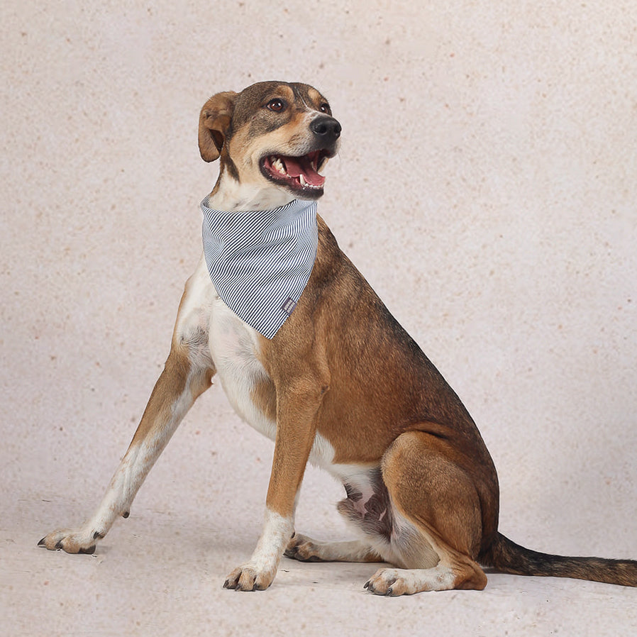 Bandana de Rayas Azules