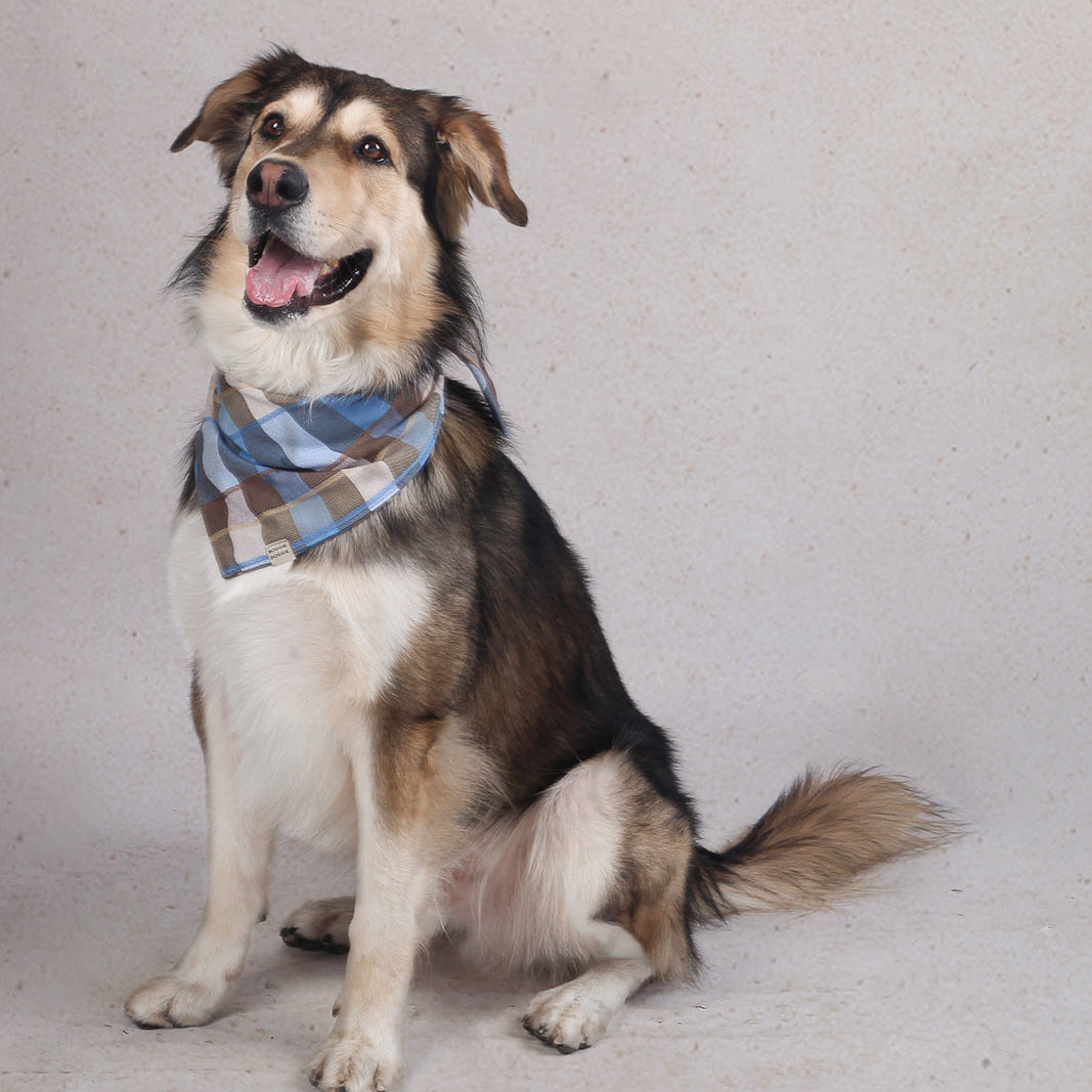 Bandana de cuadros Tierra y agua