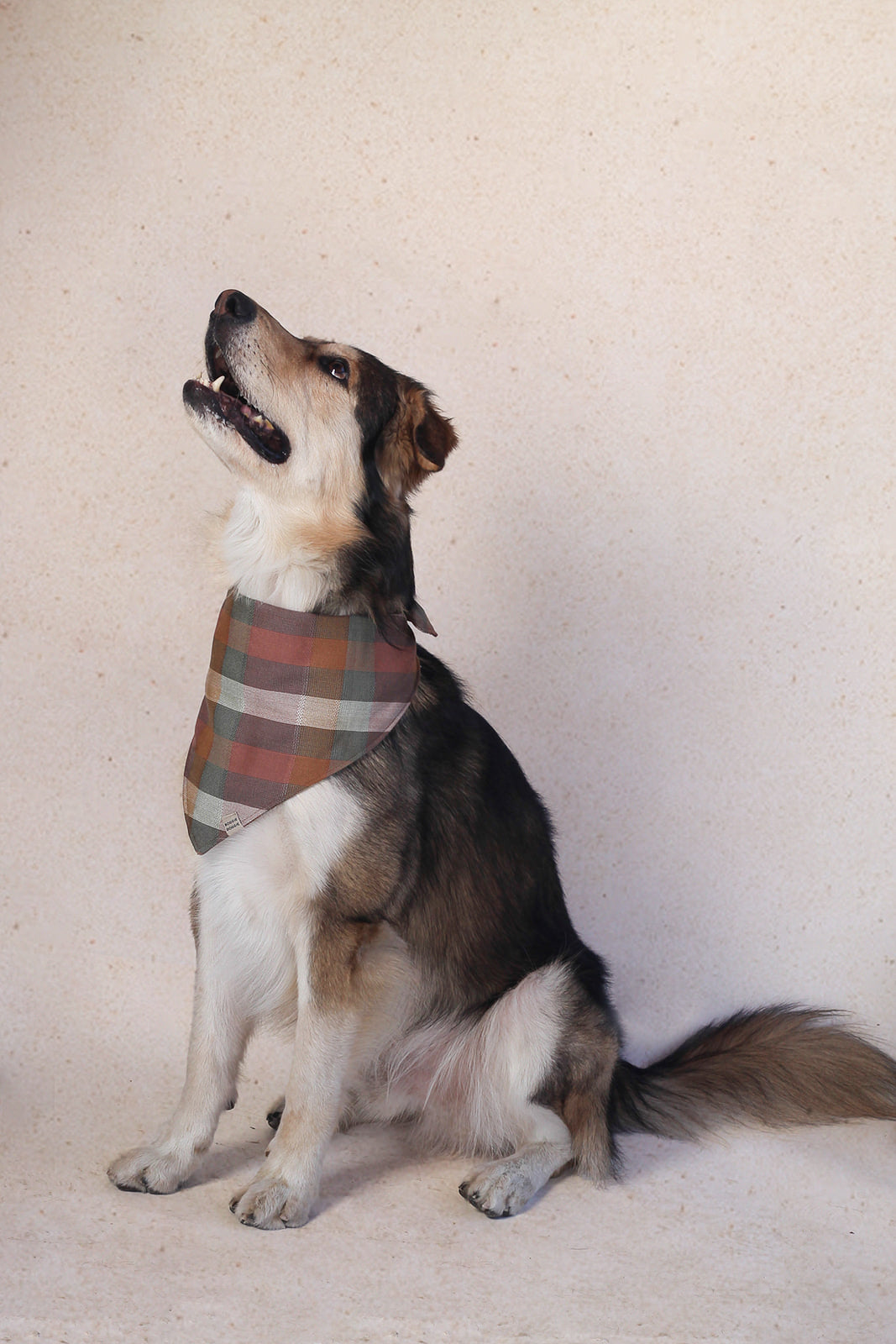 Bandana de Cuadros Desierto