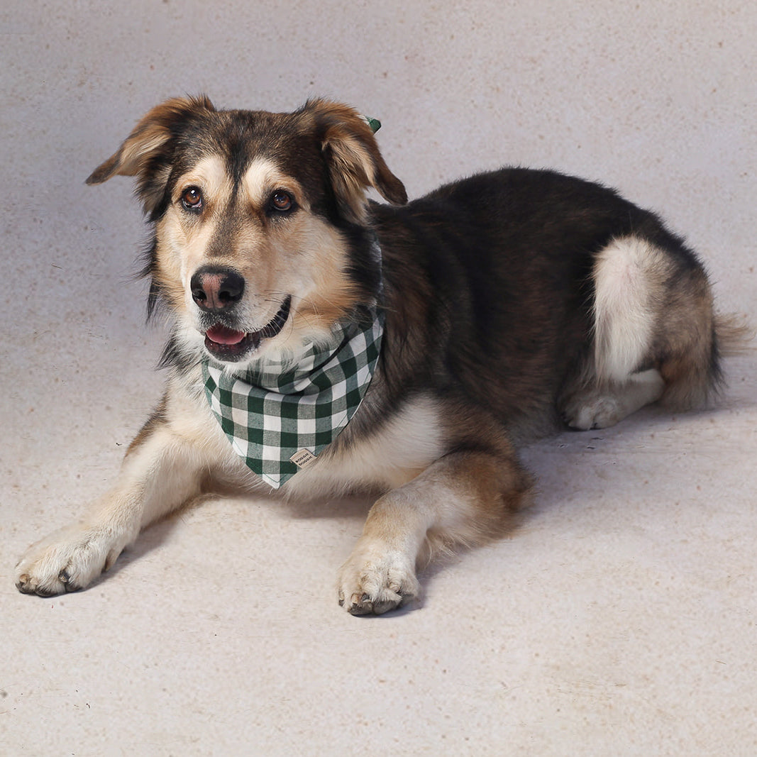 Bandana de cuadros Verde Bosque