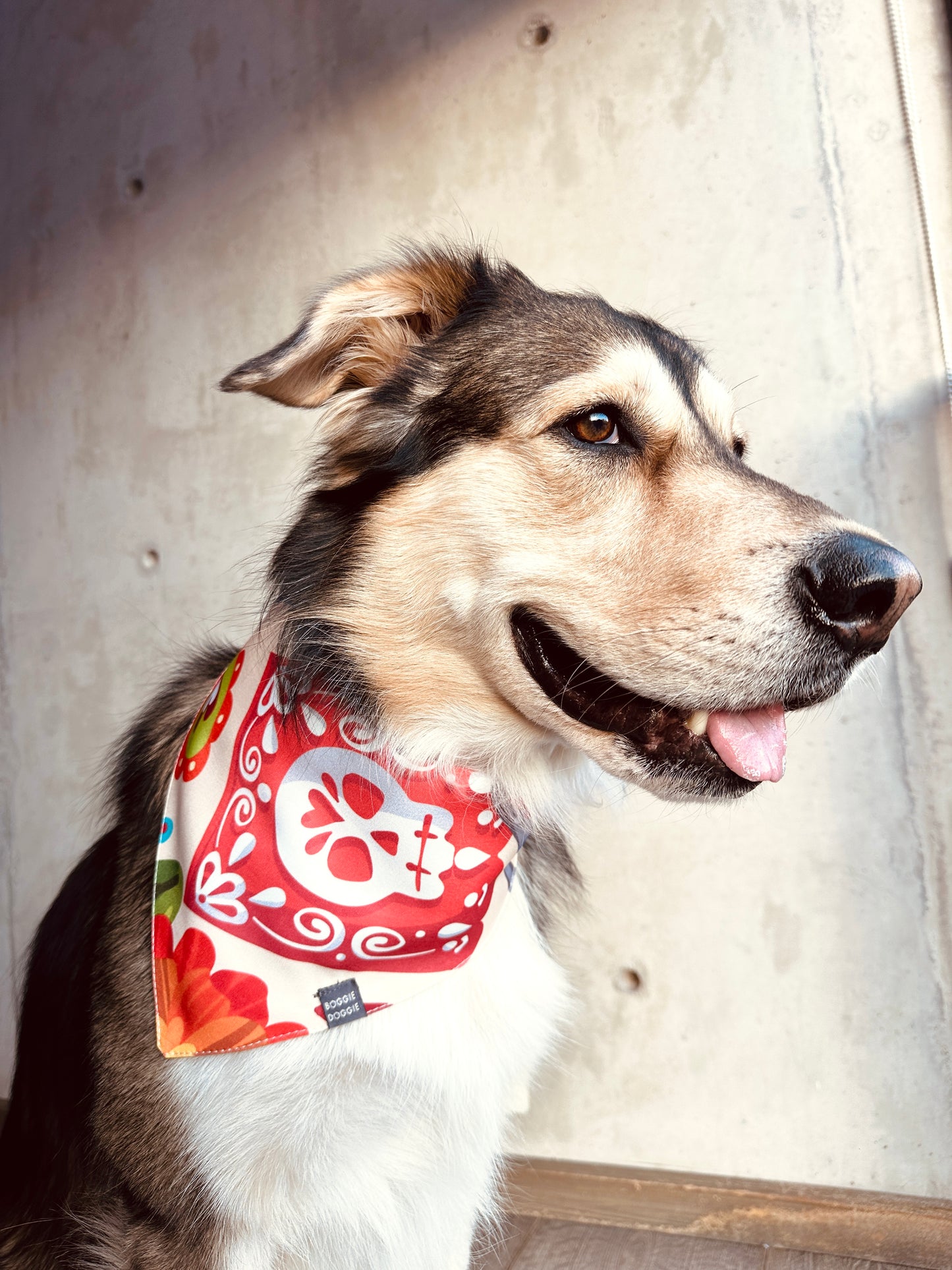 Bandana de Calaveras y papel picado