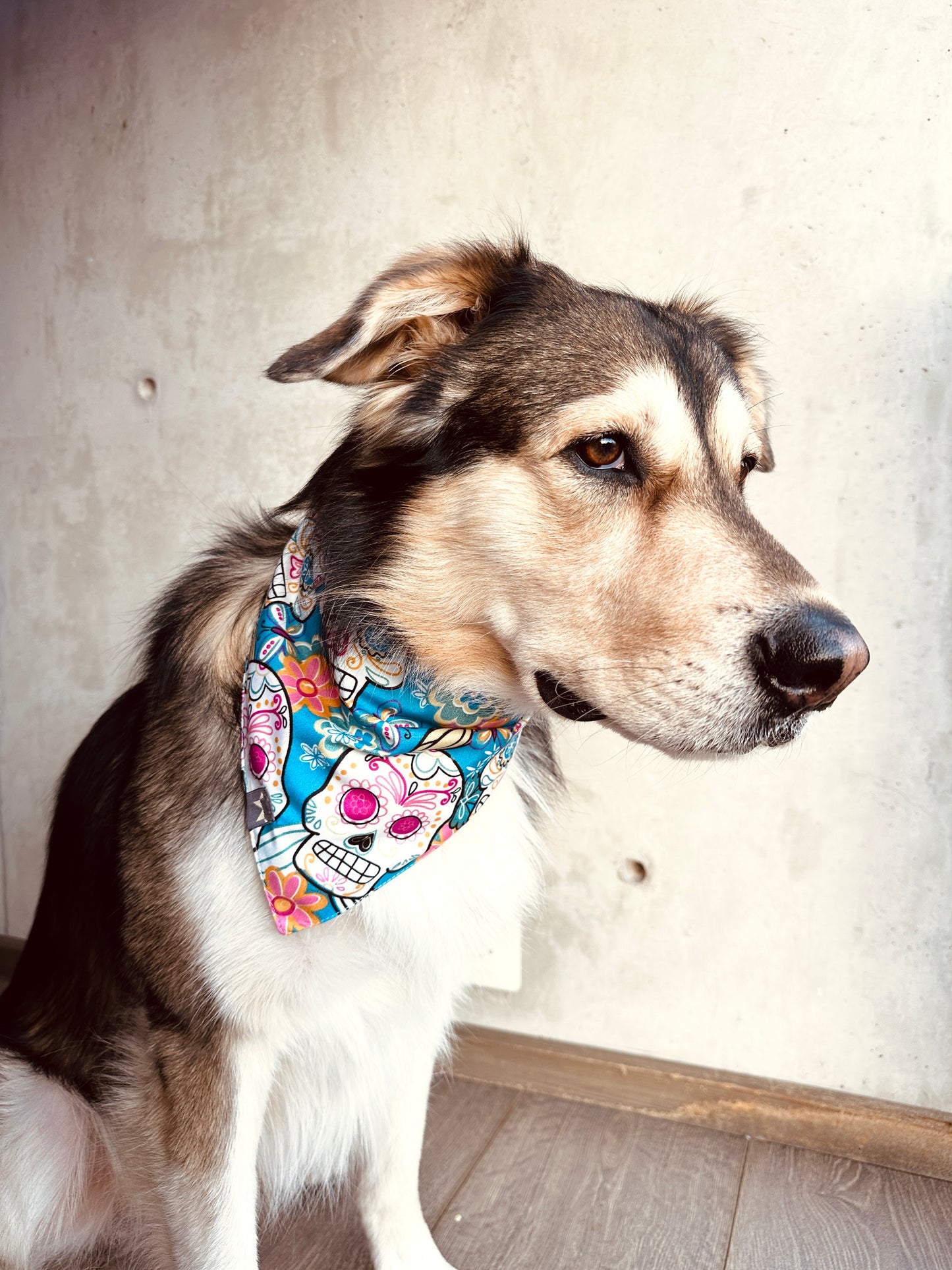 Bandana de Calaveras y flores